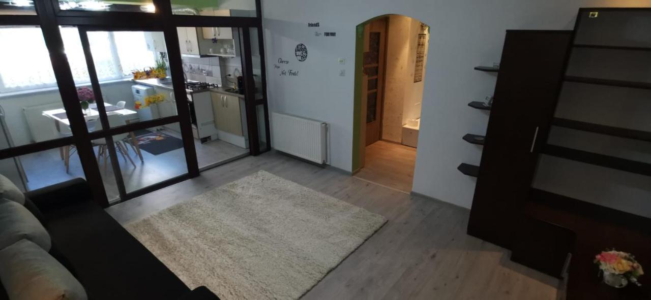 Ana Lux Apartments Braşov Exterior foto